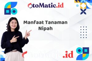 Manfaat Tanaman Nipah