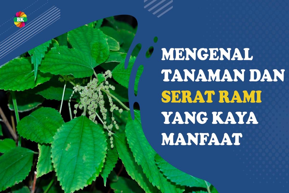 Manfaat Tanaman Rami