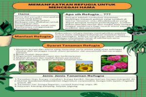 Manfaat Tanaman Refugia