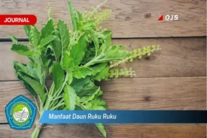 Manfaat Tanaman Ruku Ruku