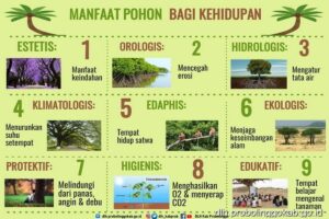 Manfaat Tanaman Untuk Lingkungan