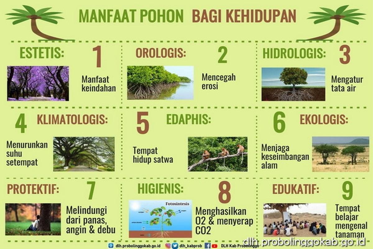 Manfaat Tanaman Untuk Lingkungan