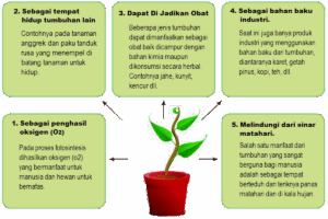Manfaat Tanaman Untuk Manusia