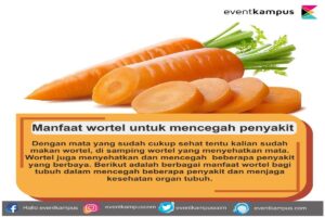 Manfaat Tanaman Wortel Bagi Tubuh