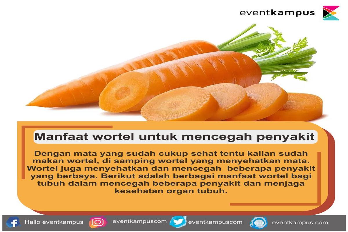 Manfaat Tanaman Wortel Bagi Tubuh