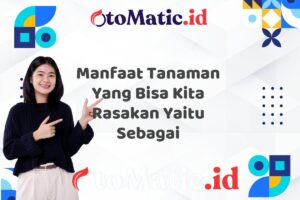 Manfaat Tanaman Yang Bisa Kita Rasakan Yaitu Sebagai