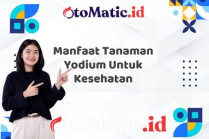 Manfaat Tanaman Yodium Untuk Kesehatan