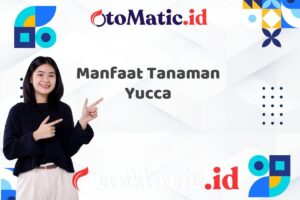 Manfaat Tanaman Yucca