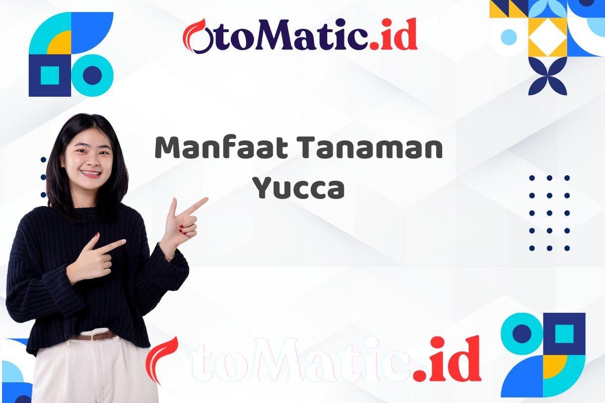 Manfaat Tanaman Yucca