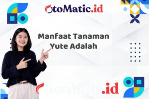 Manfaat Tanaman Yute Adalah