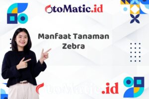 Manfaat Tanaman Zebra