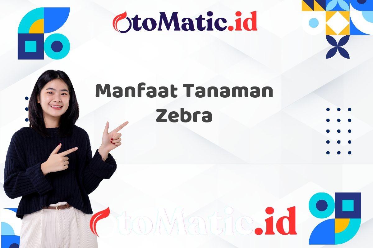 Manfaat Tanaman Zebra