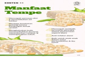 Manfaat Tempe