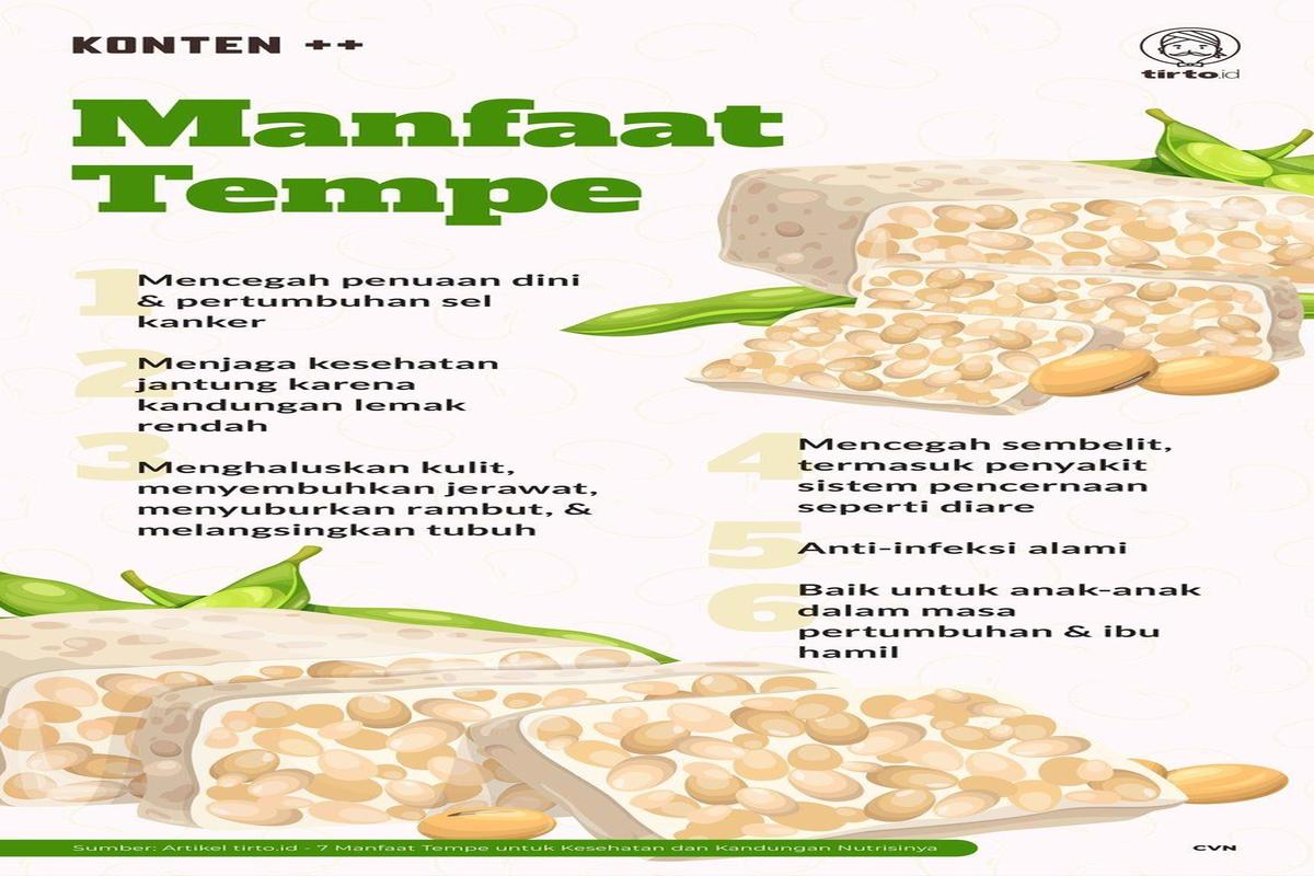 Manfaat Tempe