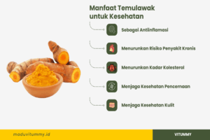 Manfaat Temulawak Untuk Kesehatan