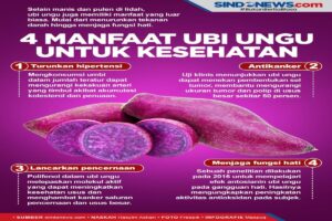 Manfaat Ubi