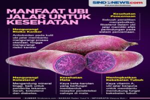 Manfaat Ubi Jalar Kuning