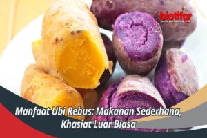 Manfaat Ubi Rebus