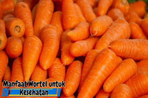 Manfaat Wortel Untuk Kesehatan