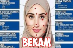 Manfaat Xantia Untuk Wanita