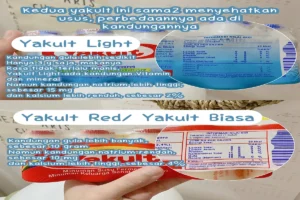 Manfaat Yakult Biru