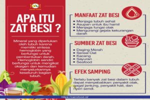 Manfaat Zat Besi