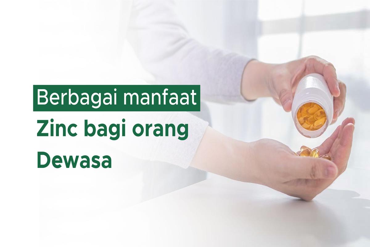 Manfaat Zinc